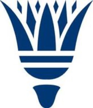 Dr. med. Pierre de Viragh Logo