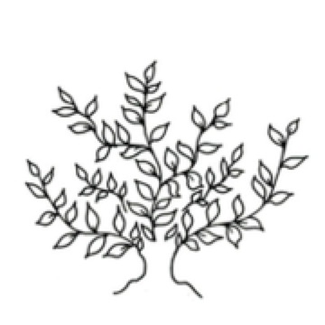 Arztpraxis Stadelhofen Logo