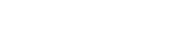 Noemi Hair Design Logo