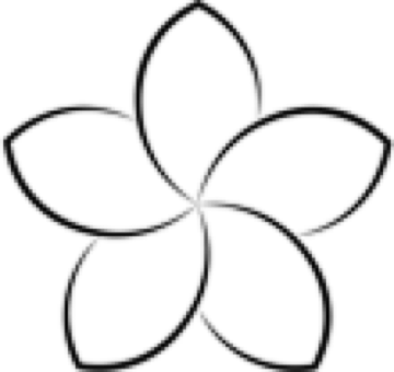 Home Massage Zürich Logo