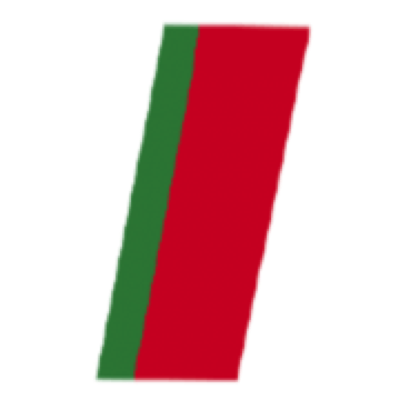 Da Silva Malergeschäft Logo