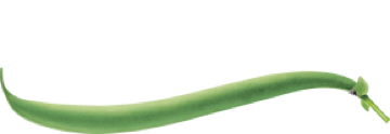 Tibits Logo