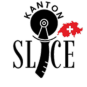 Kanton Slice Zürich Logo