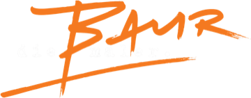 Baur die Maler GmbH Logo