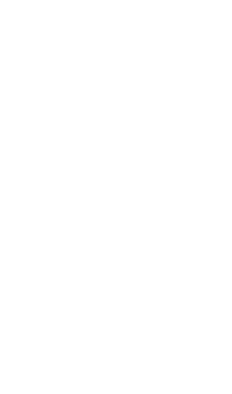 Buonvicini AG Logo