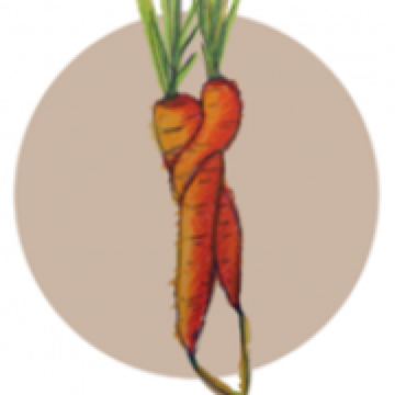 die frischlinge Logo