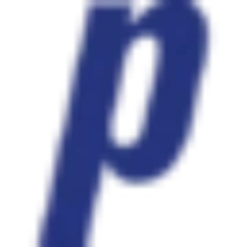 Preisig AG Logo