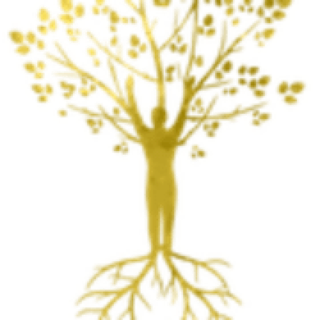 Feet Power Logo