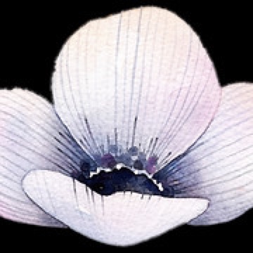 Natürlich-Frau-Sein, Reflexzonentherapie & Massagen Logo