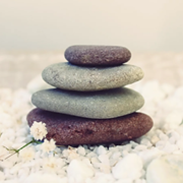 Wellnessplace.ch Logo