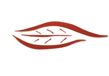 Praxis für Akupunktur und Massage Andrea Brunner Logo