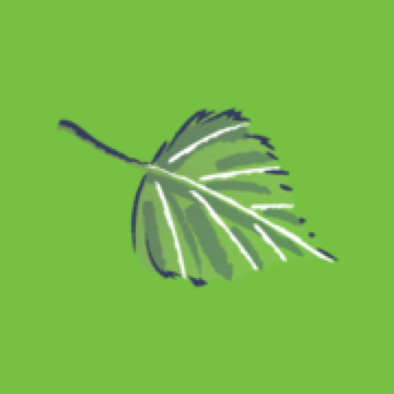 finn-med-massage.ch Logo
