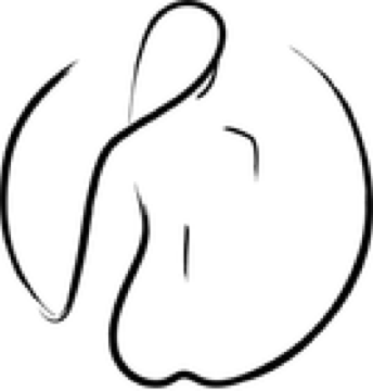 Praxis Ivonne Studier Logo
