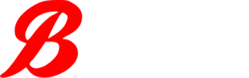 Burren E. AG Logo
