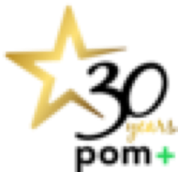 pom+Consulting AG Logo