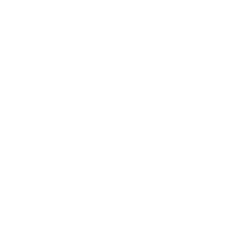 Elektro Brühlmann GmbH Logo