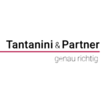 Tantanini & Partner AG Bauingenieure und Planer Logo