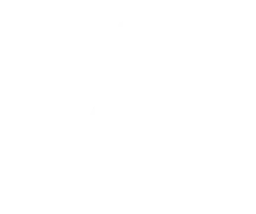 Trans-In AG Logo