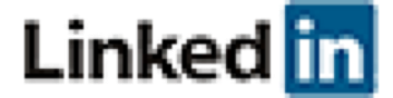 Level Consulting AG Executive Search Logo