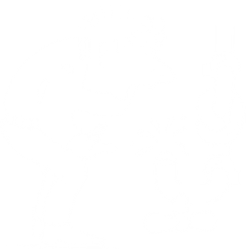 Binggeli - WBM AG Logo