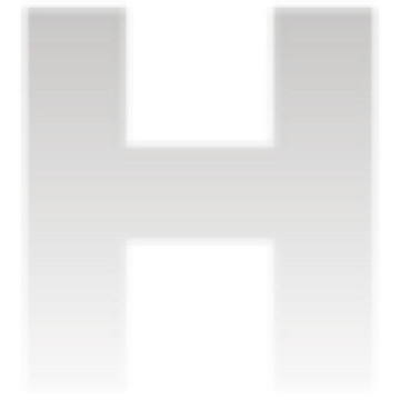 Homburger AG Logo
