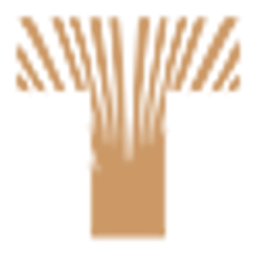 Terrago Logo