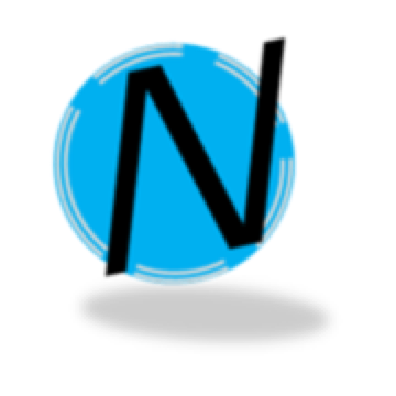 Fahrschule Nikolic Logo