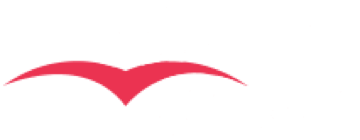 Night Bird Logo