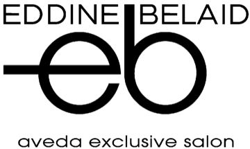 Eddine Belaid, Aveda exclusive Salon Logo
