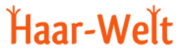Coiffeur Gino Logo
